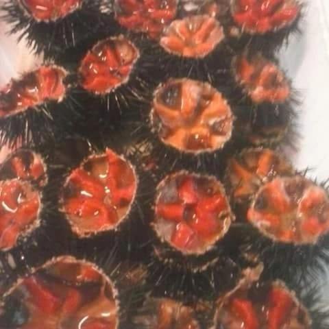 Savelletri Dal Pescatore Appartamenti מראה חיצוני תמונה