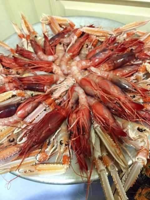 Savelletri Dal Pescatore Appartamenti מראה חיצוני תמונה
