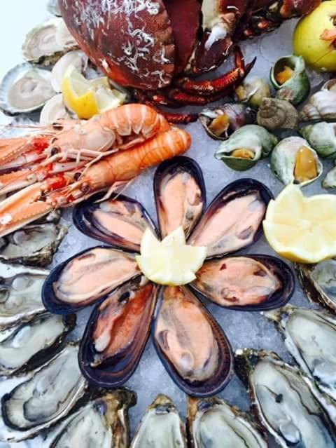 Savelletri Dal Pescatore Appartamenti מראה חיצוני תמונה